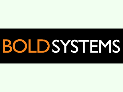 Bold System