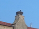 Cigüeña blanca<br />(Ciconia ciconia)