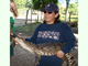 Cocodrilo mexicano<br />(Crocodylus moreletii)