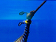 Dragón marino común<br />(Phyllopteryx taeniolatus)