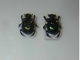 Escarabajo estercolero verde metálico<br />(Phanaeus demon)
