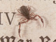 Falso escorpión<br />(Chelifer cancroides)