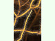 Gorgonia arborescente<br />(Leptogorgia sarmentosa)