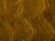 Lagartija colilarga occidental<br />(Psammodromus manuelae)