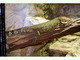 Lagarto caimán norteño<br />(Dracaena guianensis)
