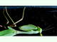 Mantis asiática gigante<br />(Hierodula membranacea)