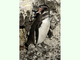 Pingüino de las Galápagos<br />(Spheniscus mendiculus)