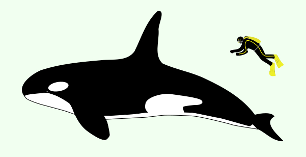 orca-hombre