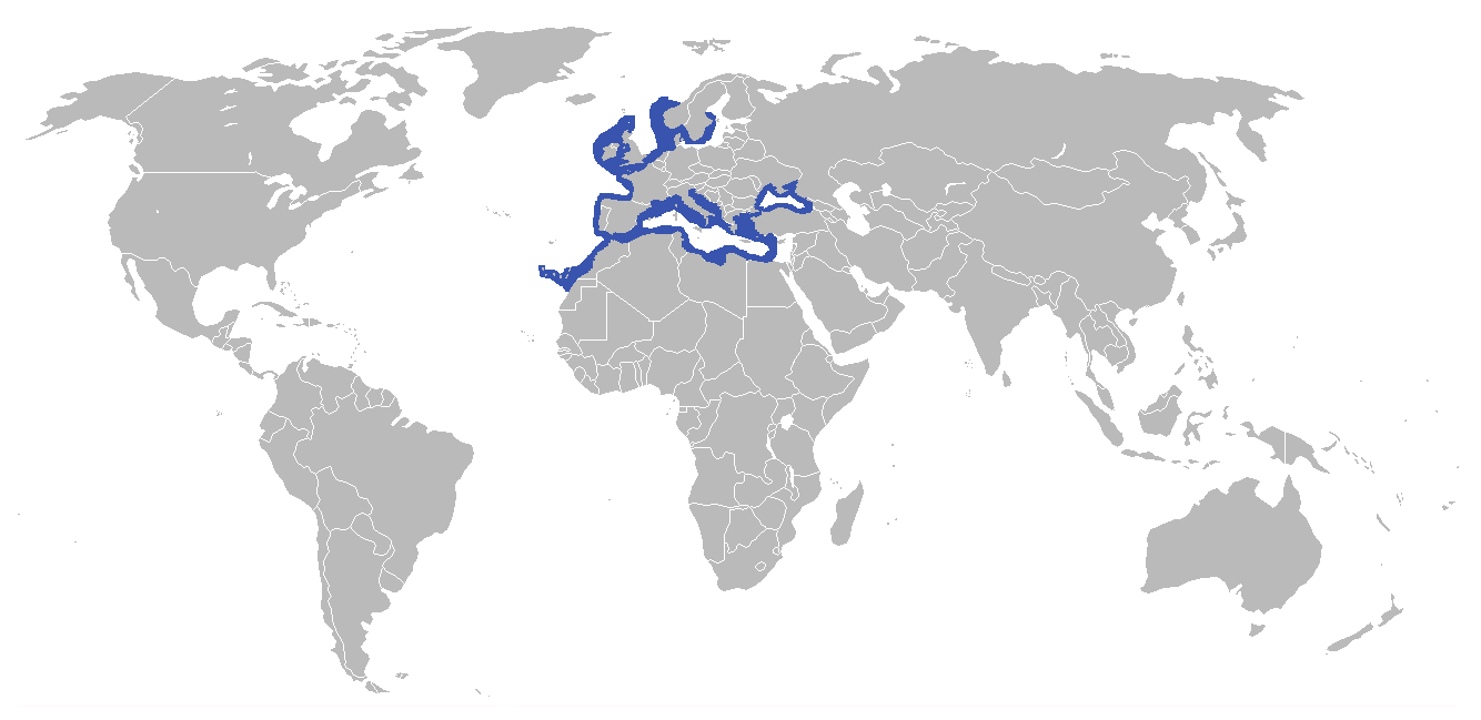 Mapa de distribución