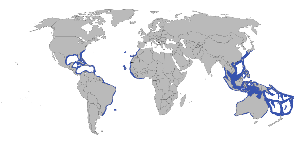 Mapa de distribución