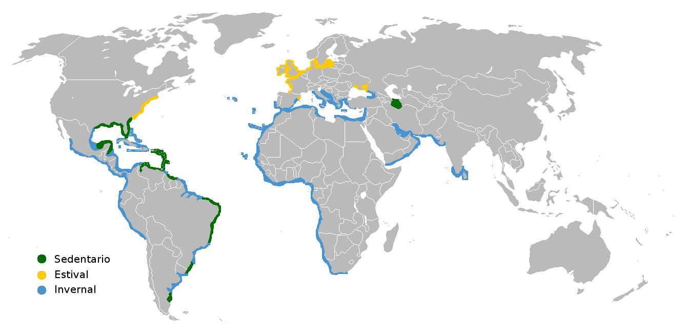 Mapa de distribución