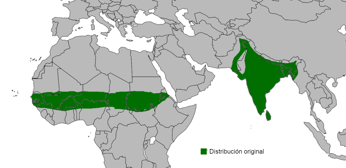 Mapa de distribución