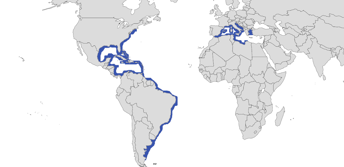 Mapa de distribución