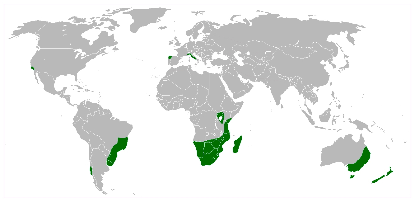 Mapa de distribución