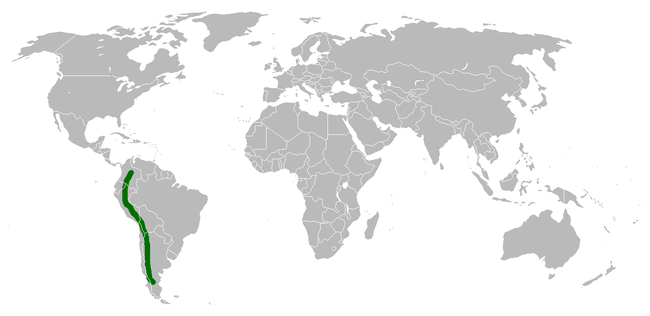 Mapa de distribución