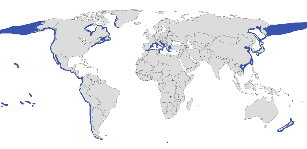 Mapa de distribución