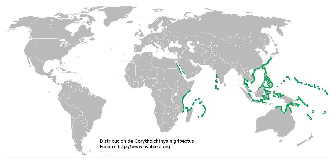 Mapa de distribución