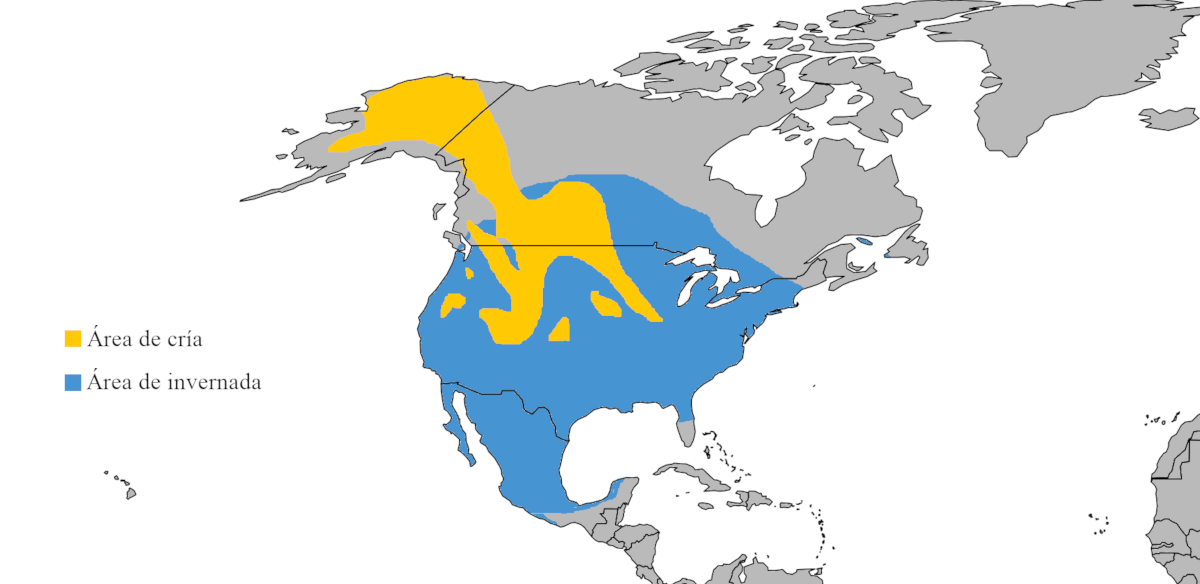 Mapa de distribución