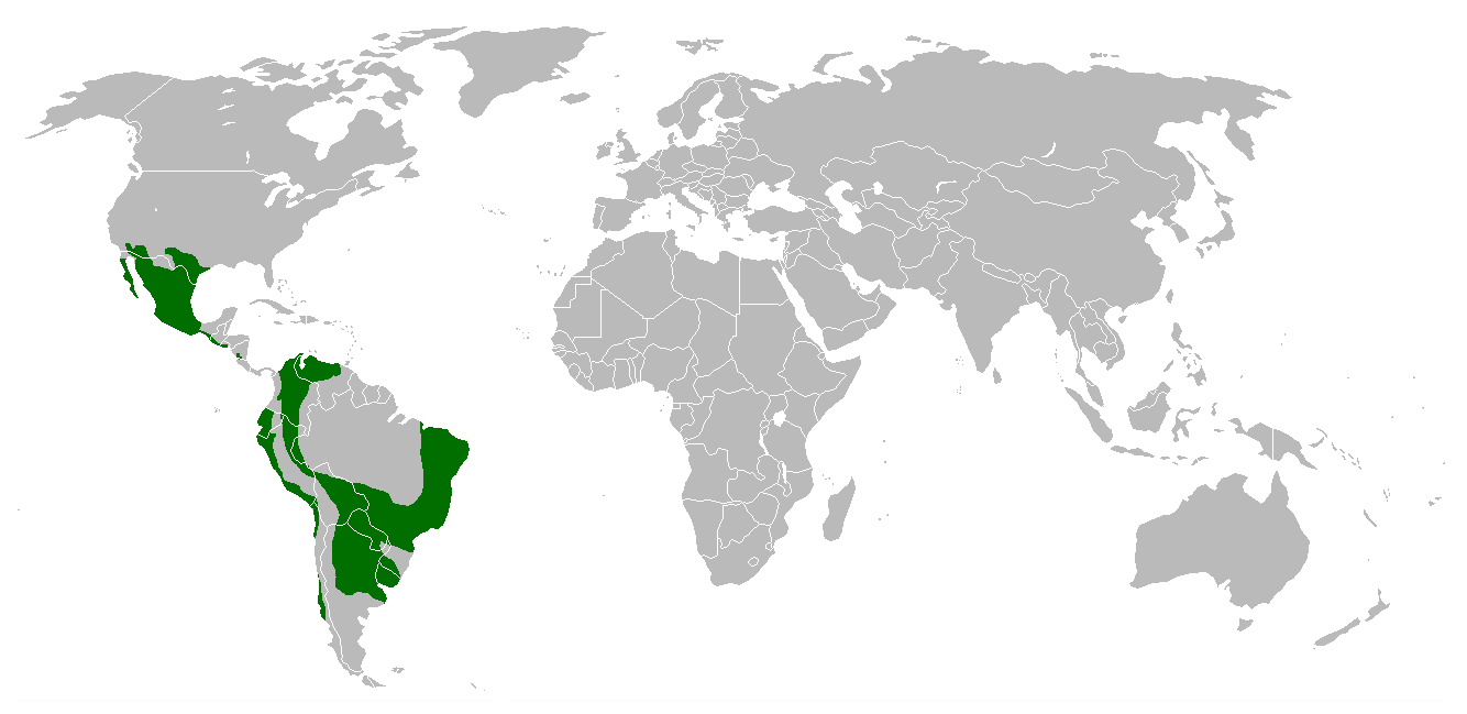 Mapa de distribución