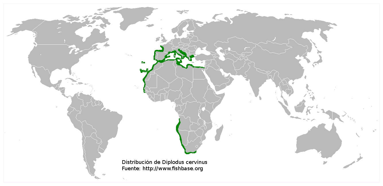 Mapa de distribución