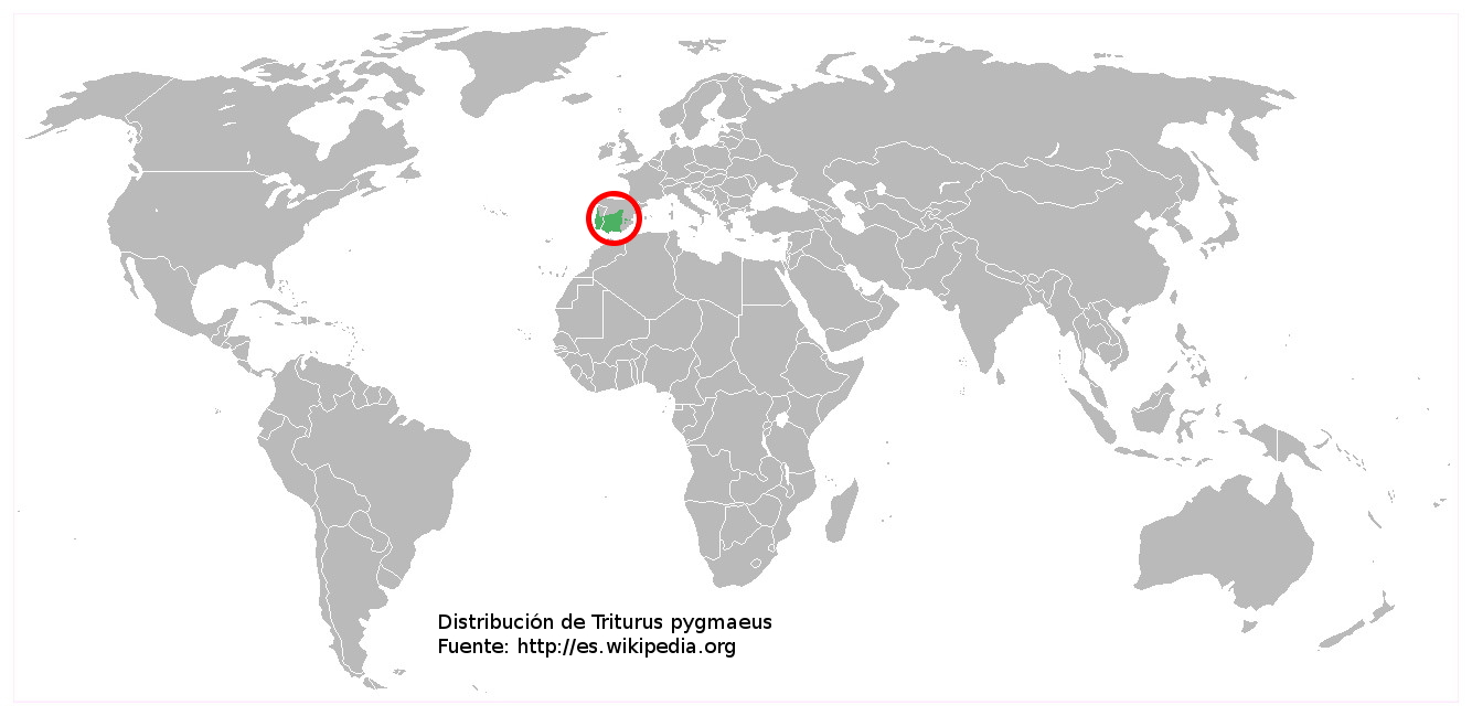 Mapa de distribución