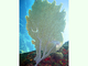 Abanico de mar púrpura<br />(Gorgonia ventalina)