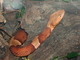 Cabeza de cobre<br />(Agkistrodon contortrix)