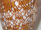 Cono de tela dorada<br />(Conus textile)