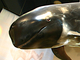 Delfín de Risso<br />(Grampus griseus)