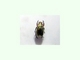 Escarabajo dorado<br />(Chrysina aurigans)