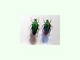 Escarabajo mellado verde esmeralda<br />(Chalcothea smaragdina)