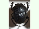 Escarabajo pelotero Scarabaeus cicatricosus<br />(Scarabaeus cicatricosus)