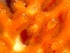 Falso coral Myriapora truncata<br />(Myriapora truncata)