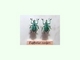 Gorgojo verde listado<br />(Eupholus cuvieri)