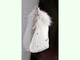 Lagarta de cola parda<br />(Euproctis chrysorrhoea)