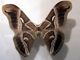 Mariposa de seda del ricino<br />(Samia ricini)