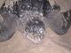 Tortuga laúd<br />(Dermochelys coriacea)